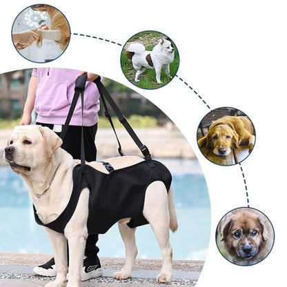 Gentle Support Dog Lift Harness